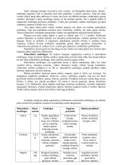 Mityba ir virškinimas (konspektas) 7 puslapis