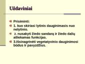 Augalų dauginimasis. Kartų kaita 2 puslapis