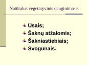 Augalų dauginimasis. Kartų kaita 13 puslapis