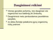 Augalų dauginimasis. Kartų kaita 3 puslapis