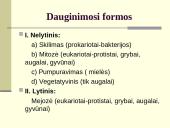 Augalų dauginimasis. Kartų kaita 4 puslapis