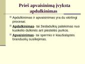 Augalų dauginimasis. Kartų kaita 5 puslapis