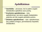 Augalų dauginimasis. Kartų kaita 8 puslapis