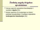 Augalų dauginimasis. Kartų kaita 9 puslapis