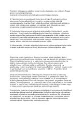 Prigimtinės teisės teorija 3 puslapis