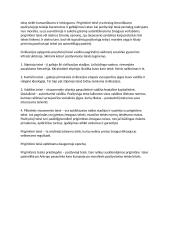 Prigimtinės teisės teorija 4 puslapis