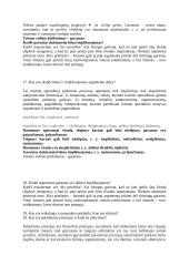 Teisinis argumentavimas 4 puslapis
