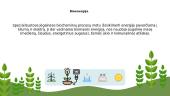 Atsinaujinantys energijos šaltiniai. Saulės energija 4 puslapis