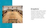 Krepšinio sporto šaka 2 puslapis