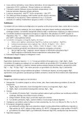 Gyvsidabris (Hg) 2 puslapis