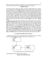 Duomenų bazių organizavimas 2 puslapis