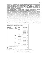 Duomenų bazių organizavimas 19 puslapis