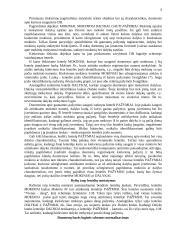 Duomenų bazių organizavimas 3 puslapis