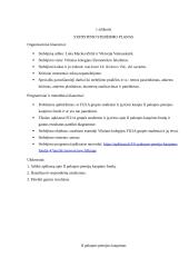 Statistikos savarankiškas darbas (projektas) 2 puslapis