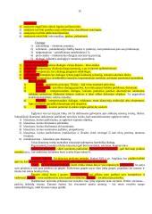 Religinis ugdymas ir jo kritika 4 puslapis