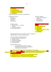 Religinis ugdymas ir jo kritika 5 puslapis