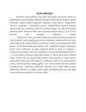 Jaunimo įsidarbinimo galimybės 11 puslapis