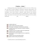 Jaunimo įsidarbinimo galimybės 13 puslapis