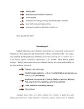 Jaunimo įsidarbinimo galimybės 14 puslapis