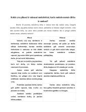 Jaunimo įsidarbinimo galimybės 16 puslapis