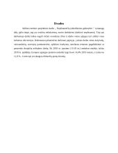 Jaunimo įsidarbinimo galimybės 17 puslapis