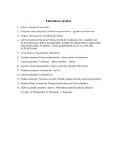 Jaunimo įsidarbinimo galimybės 18 puslapis