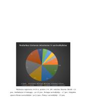 Jaunimo įsidarbinimo galimybės 7 puslapis