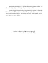 Jaunimo įsidarbinimo galimybės 8 puslapis