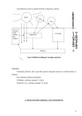 Išsamus pasiruošimas ekologijos egzaminui 9 puslapis