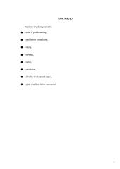 Inžinerijos projektinis darbas Plaukų šepetys 2 puslapis