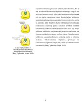 Fermentų struktūra, savybės ir funkcijos 8 puslapis