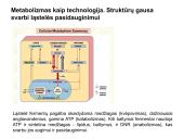 Ląstelės sandara ir struktūra 17 puslapis