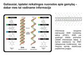 Ląstelės sandara ir struktūra 19 puslapis