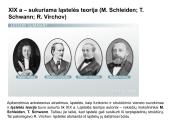 Ląstelės sandara ir struktūra 6 puslapis