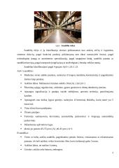 Sandėliavimas ir sandėlių rūšys 4 puslapis