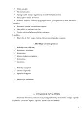Sandėliavimas ir sandėlių rūšys 5 puslapis