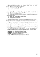 Ekonomikos teorijos samprata 12 puslapis