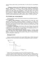 Ekonomikos teorijos samprata 19 puslapis