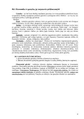 Ekonomikos teorijos samprata 8 puslapis