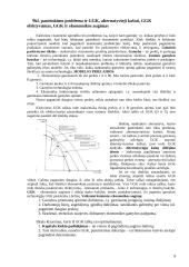Ekonomikos teorijos samprata 9 puslapis