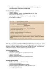 Įvairiapusių raidos sutrikimų konspektas 2 puslapis