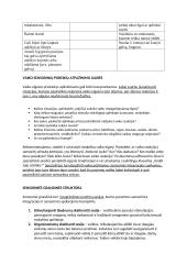 Įvairiapusių raidos sutrikimų konspektas 13 puslapis