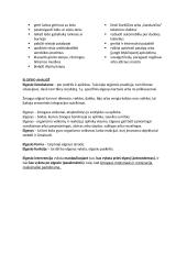 Įvairiapusių raidos sutrikimų konspektas 16 puslapis