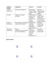 Įvairiapusių raidos sutrikimų konspektas 17 puslapis