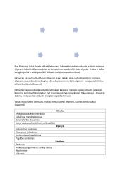 Įvairiapusių raidos sutrikimų konspektas 18 puslapis