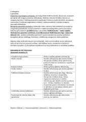 Įvairiapusių raidos sutrikimų konspektas 5 puslapis