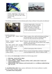 Oro transporto sistemos elementai 3 puslapis