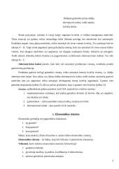 Ekonomikos teorija ir lentelės 3 puslapis
