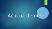 Visažistės profesija skaidrės 13 puslapis