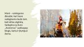 Užgavėnės pristatymas 6 puslapis